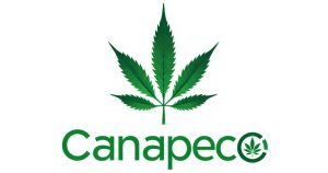 logo principale di Canapeco: canapa, futuro sostenibile